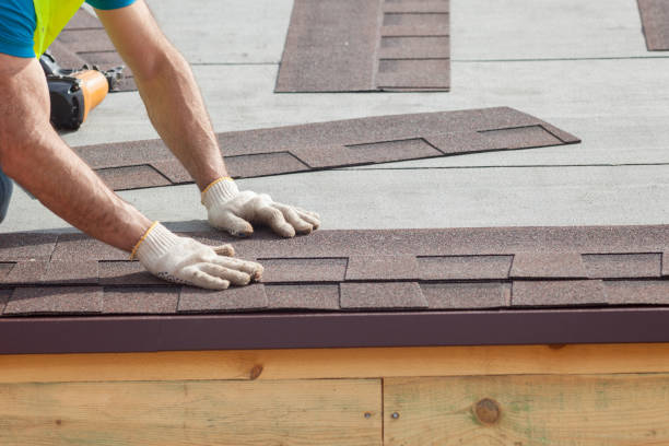 Best Roof Insulation Installation  in East Dubuque, IL
