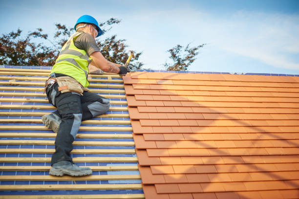 Best Roof Maintenance and Cleaning  in East Dubuque, IL